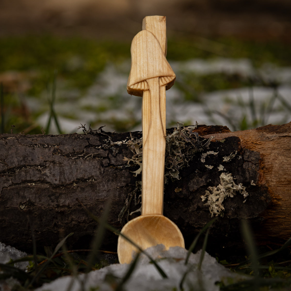 Mushroom Coffee/Spices Scoop