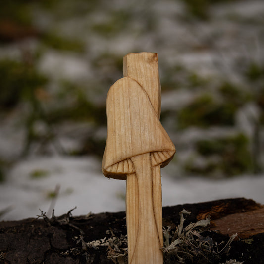 Mushroom Coffee/Spices Scoop